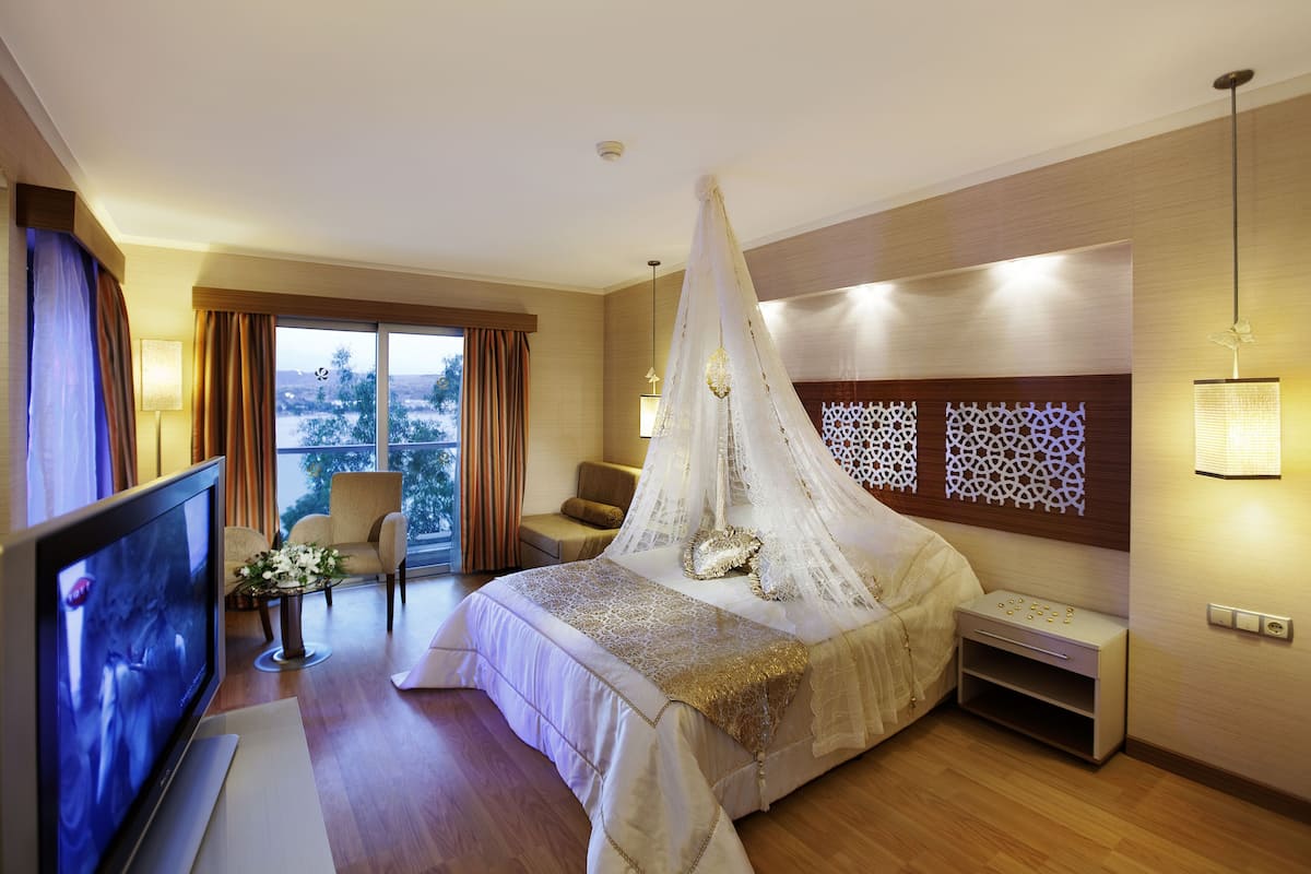 A hotel room with a large bed, a TV, a seating area with a chair and a table, and a view of the outdoors.