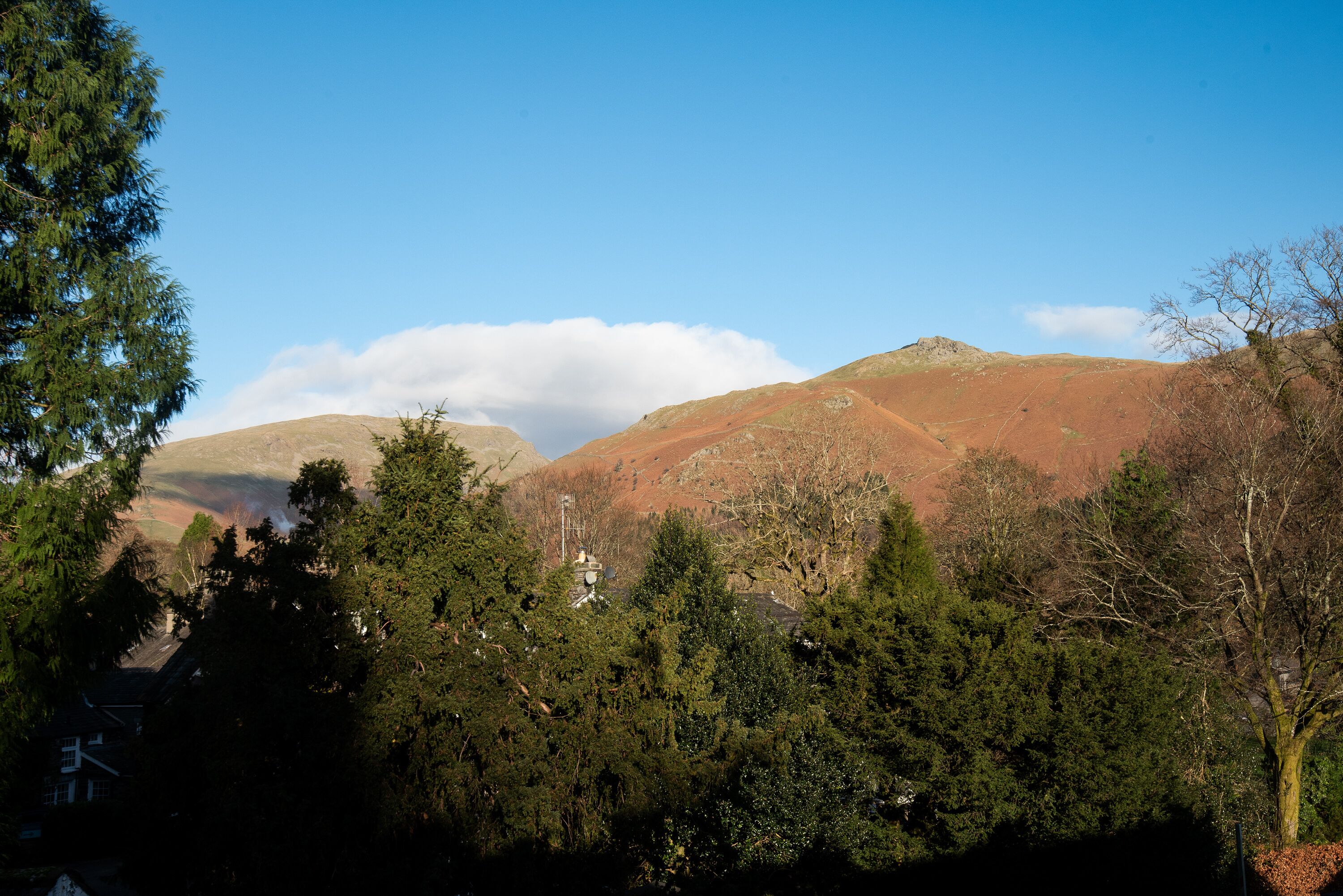 A mountainous landscape with dense forest in the foreground and hills in the background.