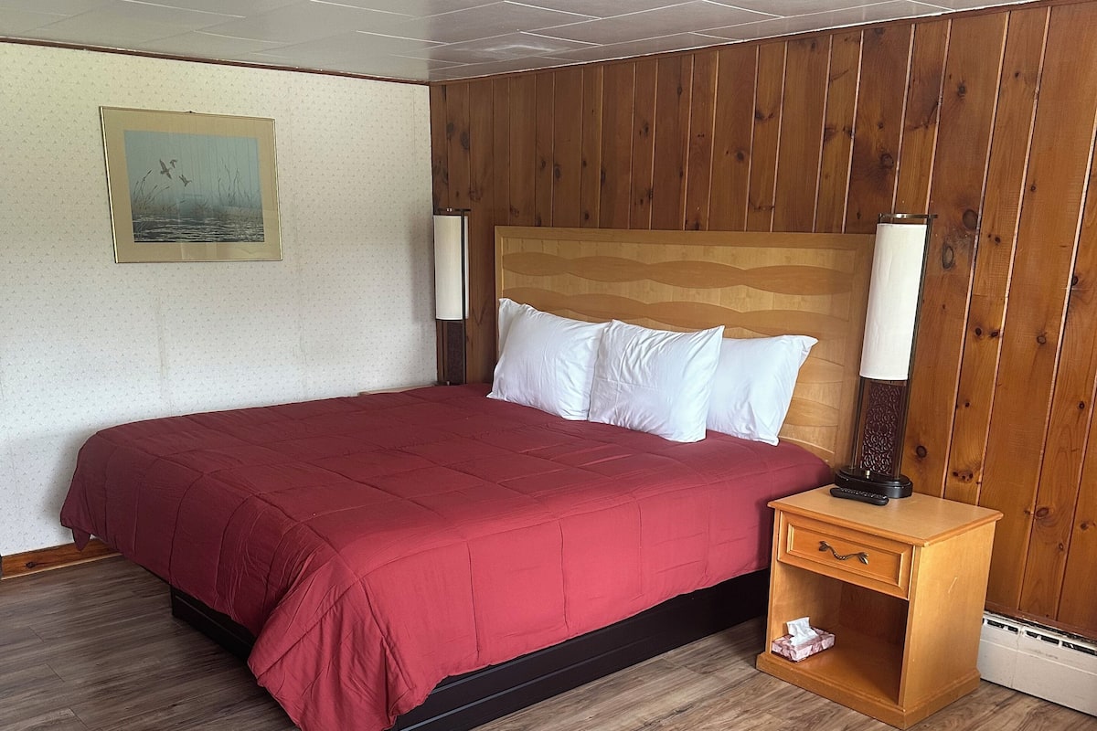 Premium Room, 1 King Bed | Desk, free WiFi