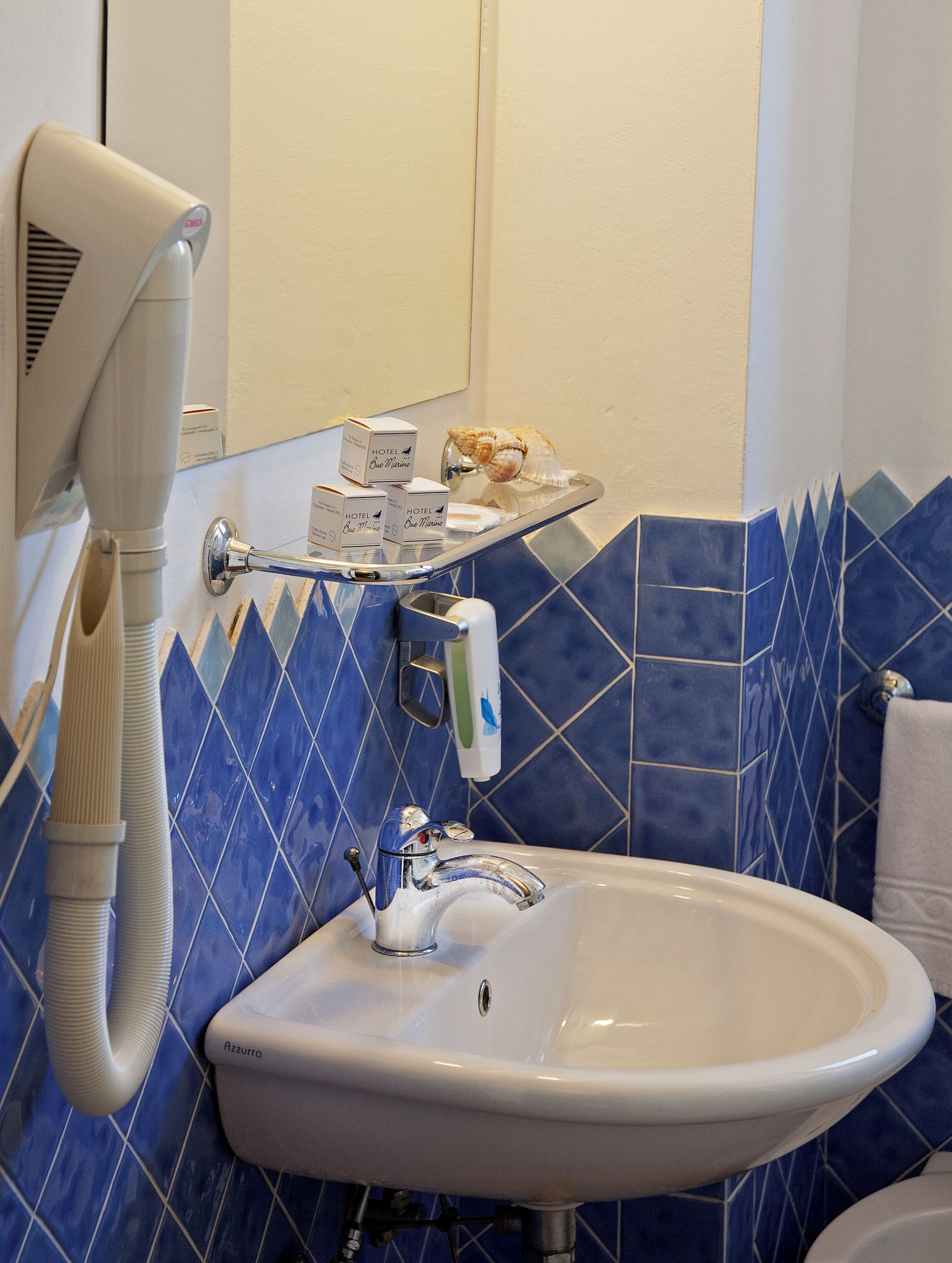 hair dryer, bidet, towels, soap