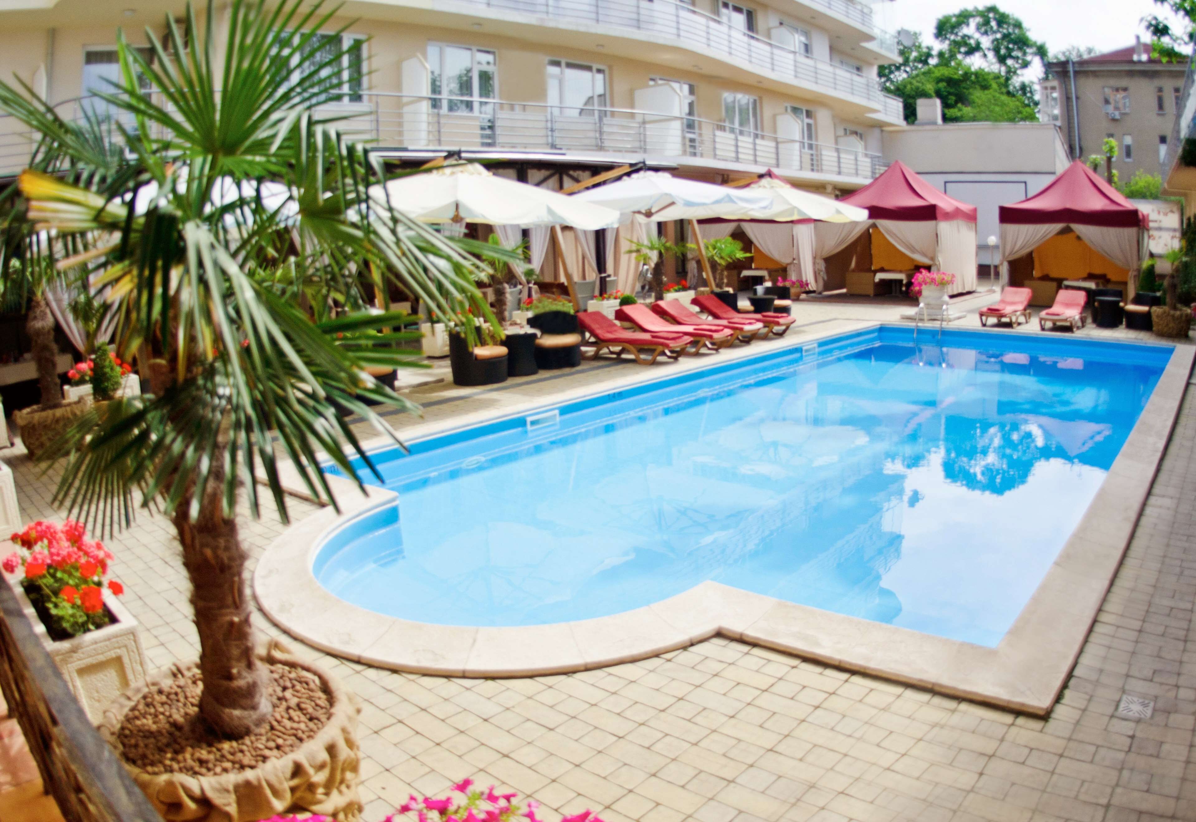 Piscine extérieure, chaises longues