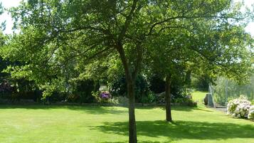 A well-maintained lawn with a large tree in the center.