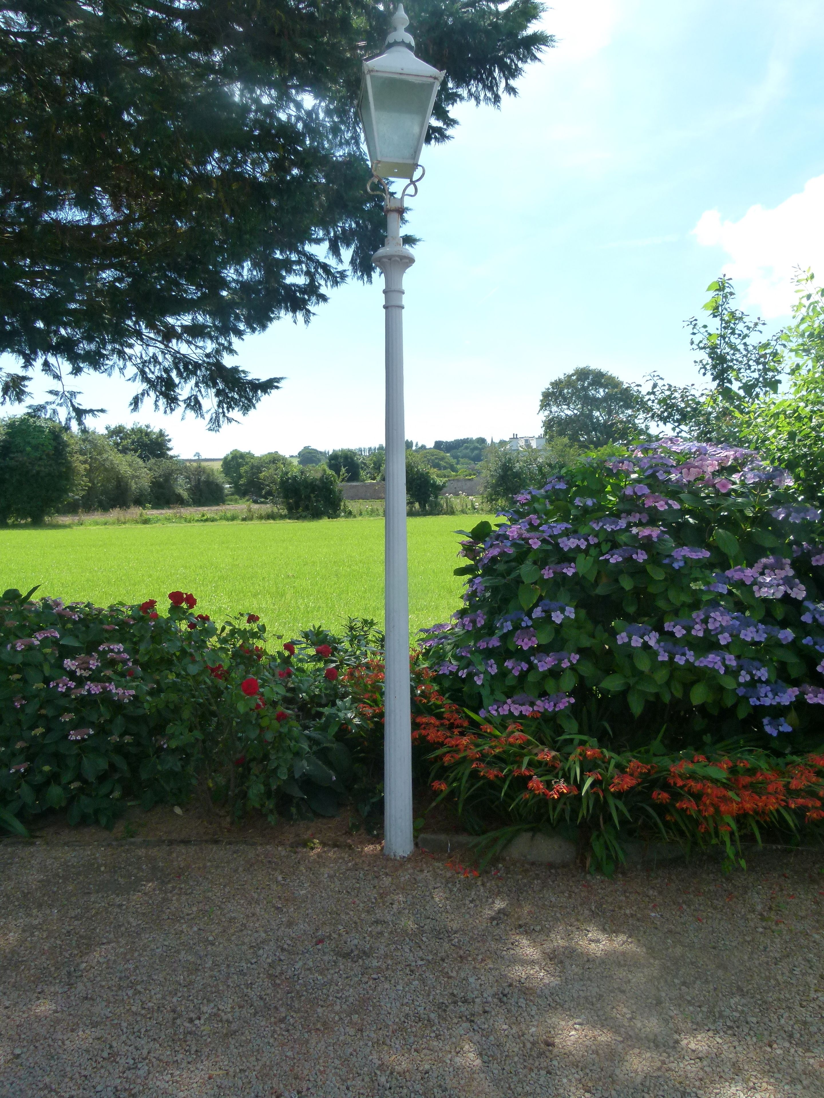 A garden with a white lamp post, various flowering plants, and a green field in the background.