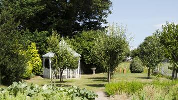 Un giardino con un gazebo, un grande albero e diverse piante.