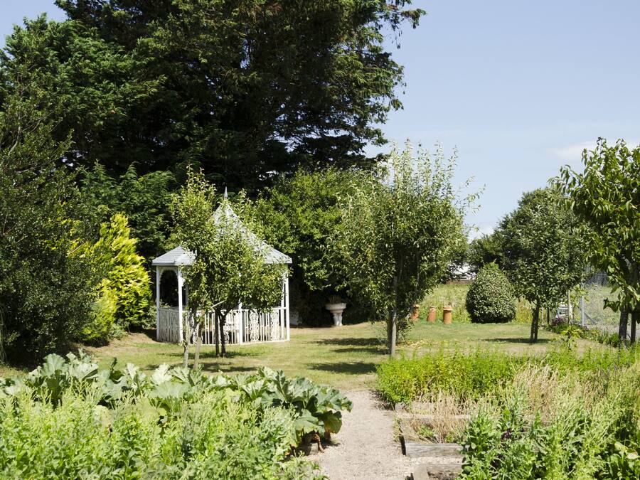 Un giardino con un gazebo, un grande albero e diverse piante.