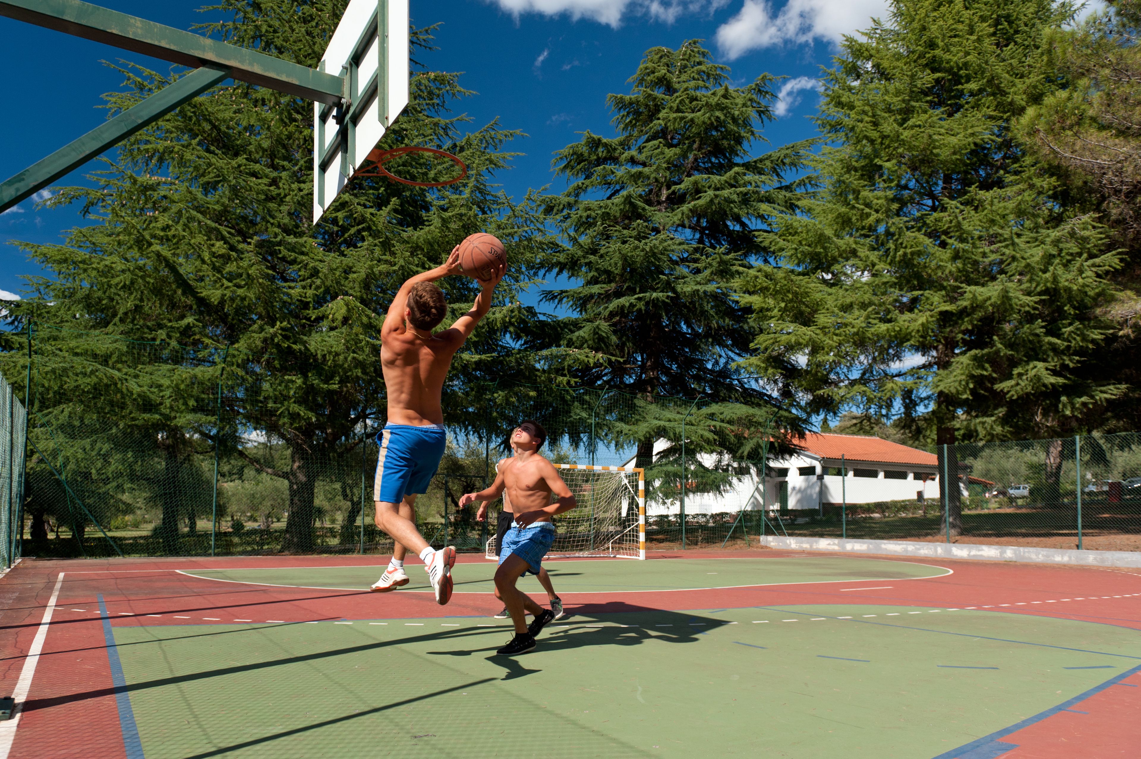 An outdoor basketball court with a net, trees, and a building in the background.