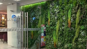 Un espace d’accueil doté d’une porte en verre, d’un mur végétal orné de plantes suspendues et d’un sol carrelé.