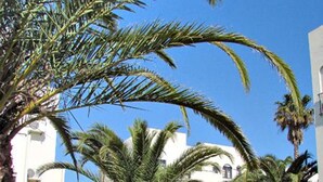 A courtyard with palm trees and a white building with arched doorways. - Clube Alvorferias (Portimão)
