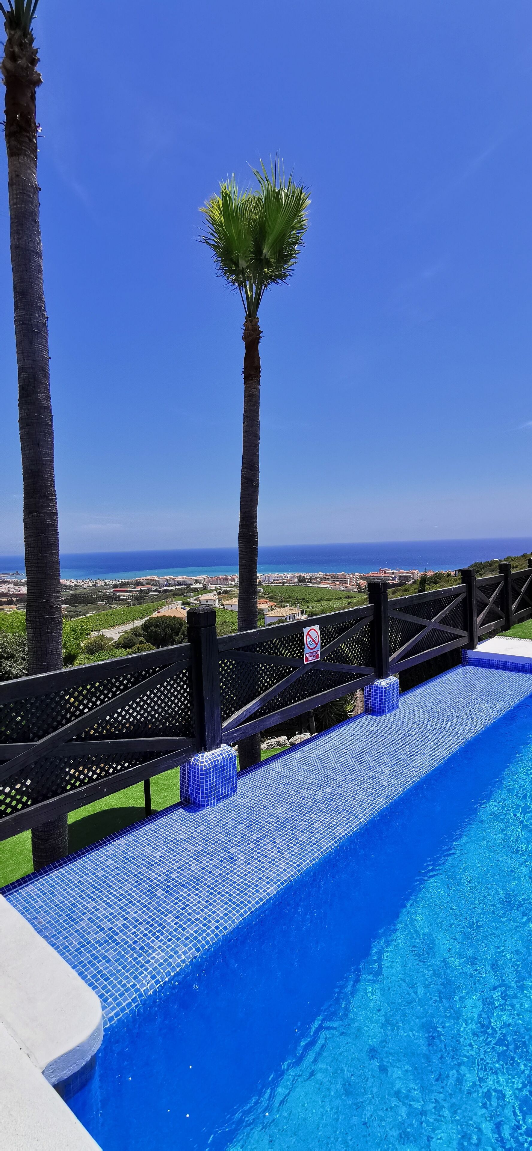 A swimming pool with a blue tiled edge, surrounded by a black fence with a no swimming sign, palm trees, and a view of the ocean and distant buildings.