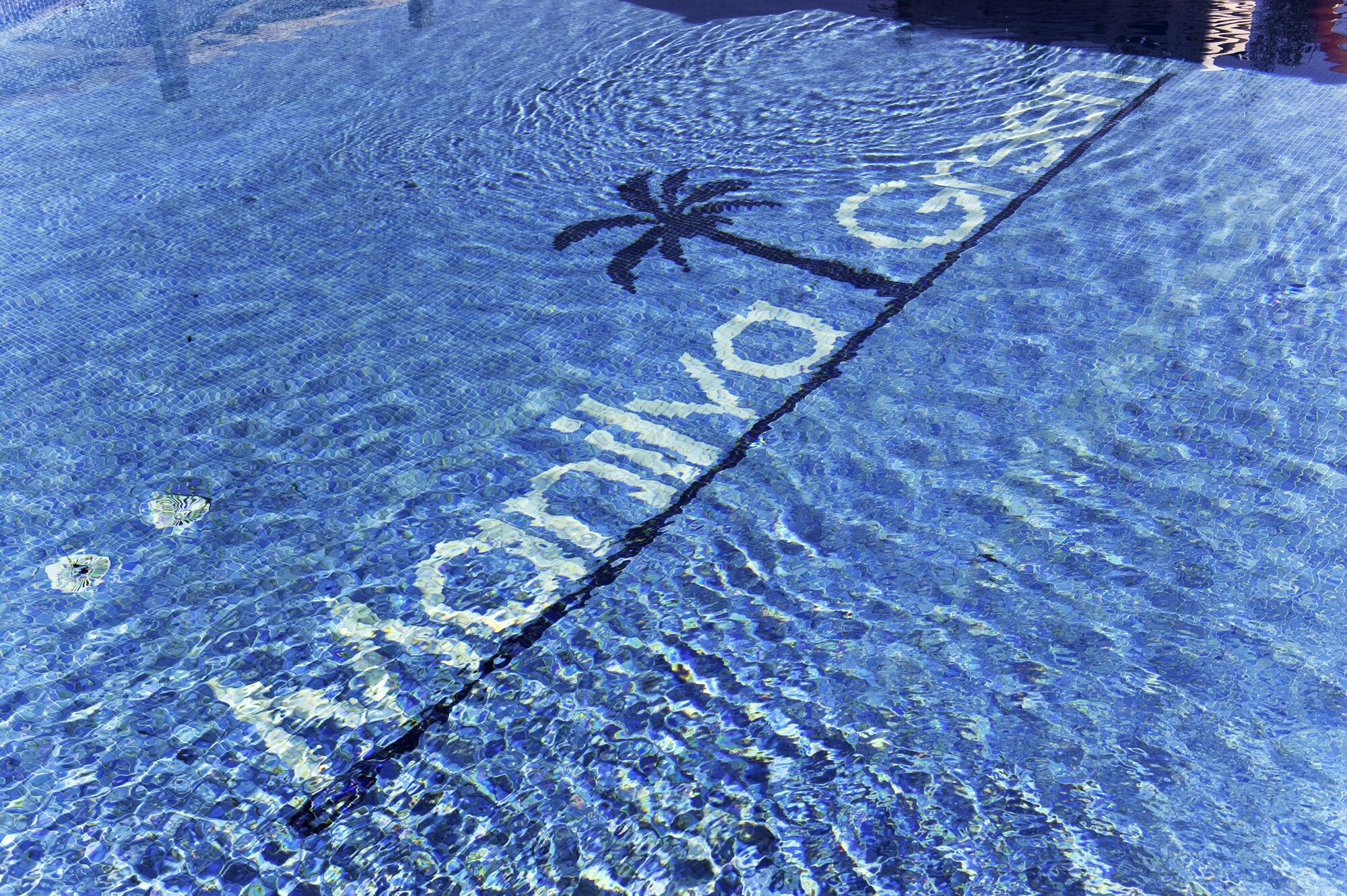Una piscina con una palmera y el texto "Marina del Oro" sobre la superficie del agua.
