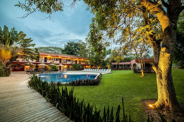 Outdoor pool, pool umbrellas, sun loungers