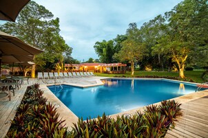 Una piscina al aire libre, sombrillas, sillones reclinables de piscina