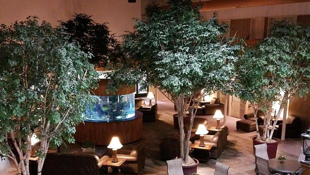 En lobby med flere siddeområder, herunder sofaer og borde, omgivet af potteplanter og et stort akvarium i midten.