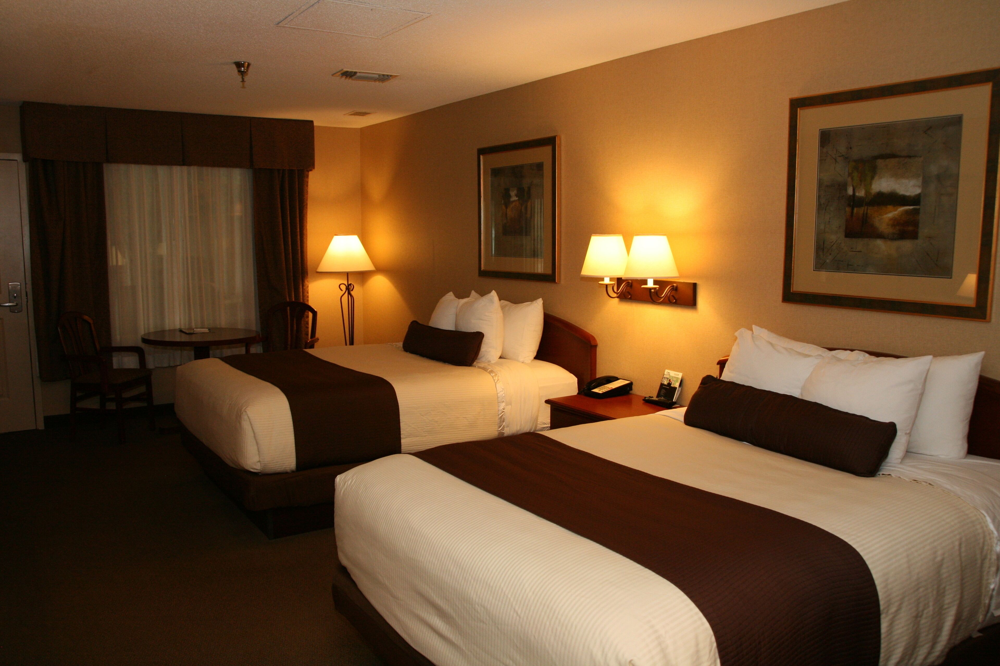 Habitació doble, 2 llits de matrimoni | Caixa forta a l'habitació, escriptori i planxa i posts de planxar 