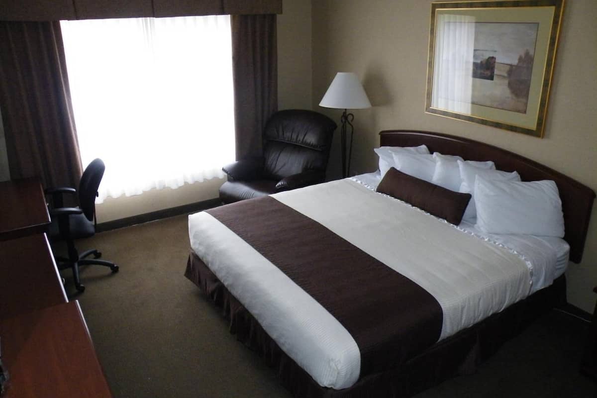 standard room, 1 king bed | in-room safe, desk, iron/ironing board, free wifi