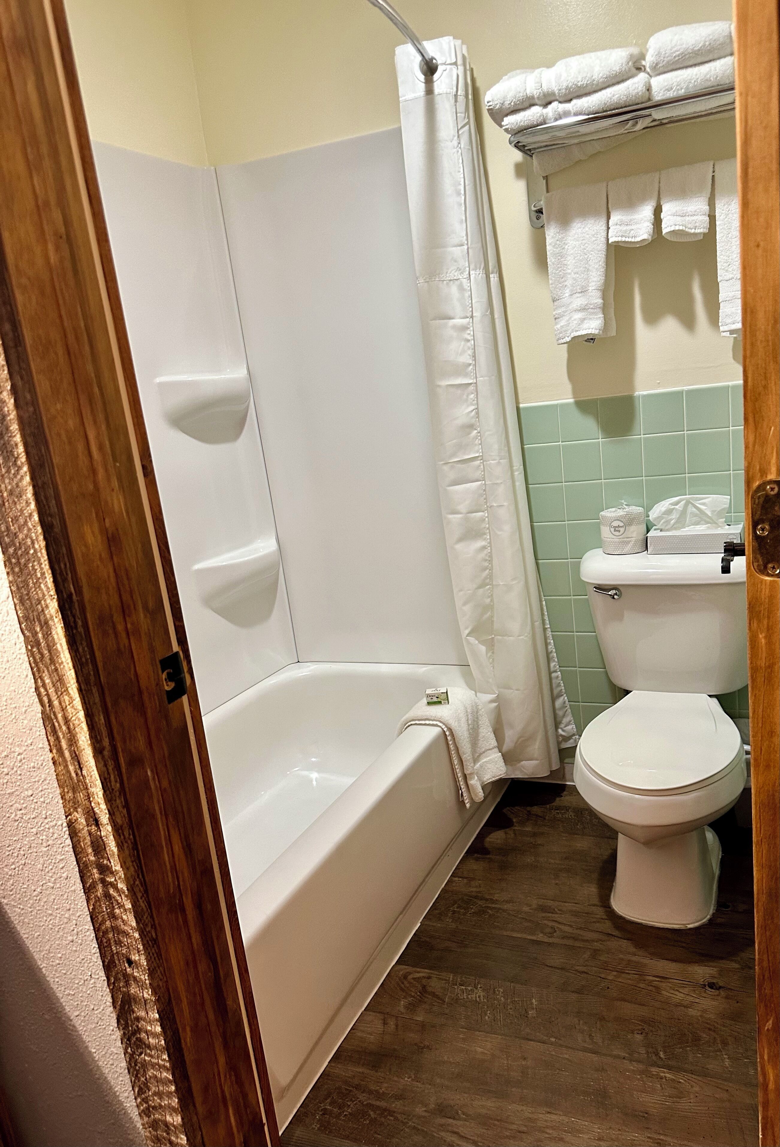 A bathroom with a bathtub, toilet, and a shower curtain.