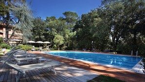 Una piscina con sillas de descanso y sombrillas, rodeada de árboles y un edificio con terraza.