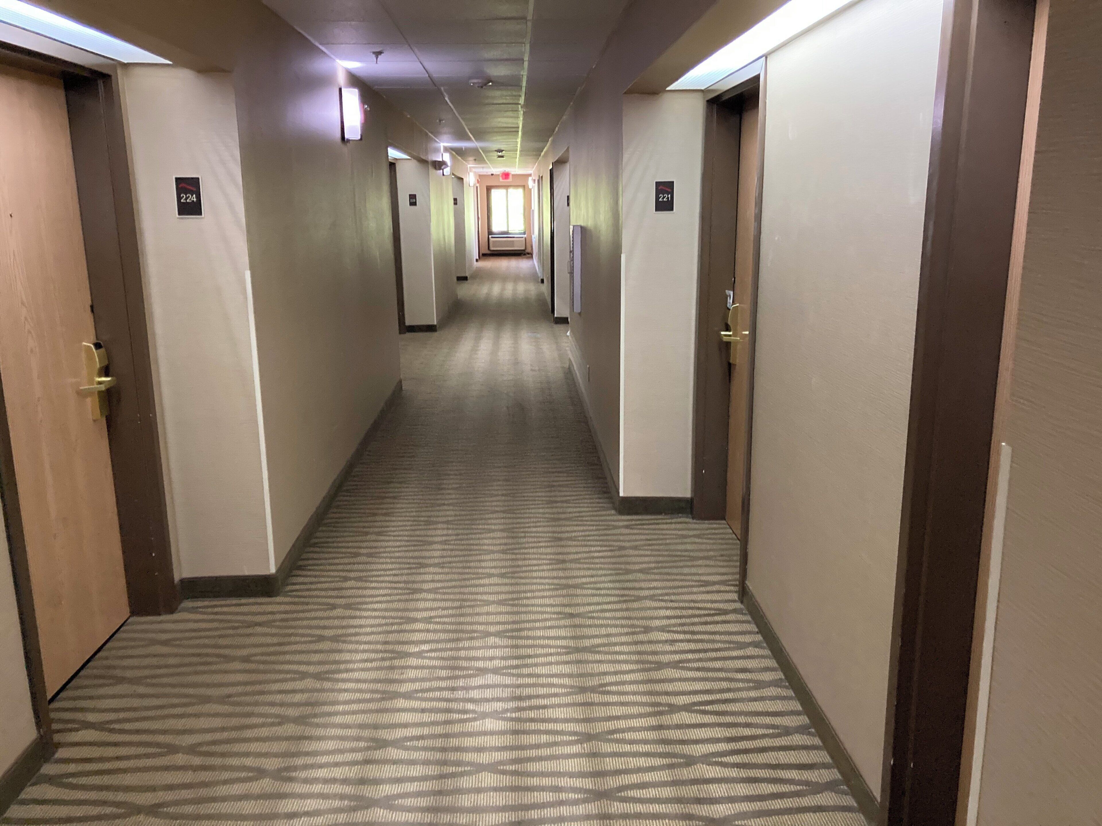 Un pasillo de hotel con pisos alfombrados, puertas a ambos lados y letreros con números de habitación.