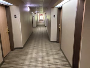 A hotel hallway with carpeted floors, doors on both sides, and numbered room signs.