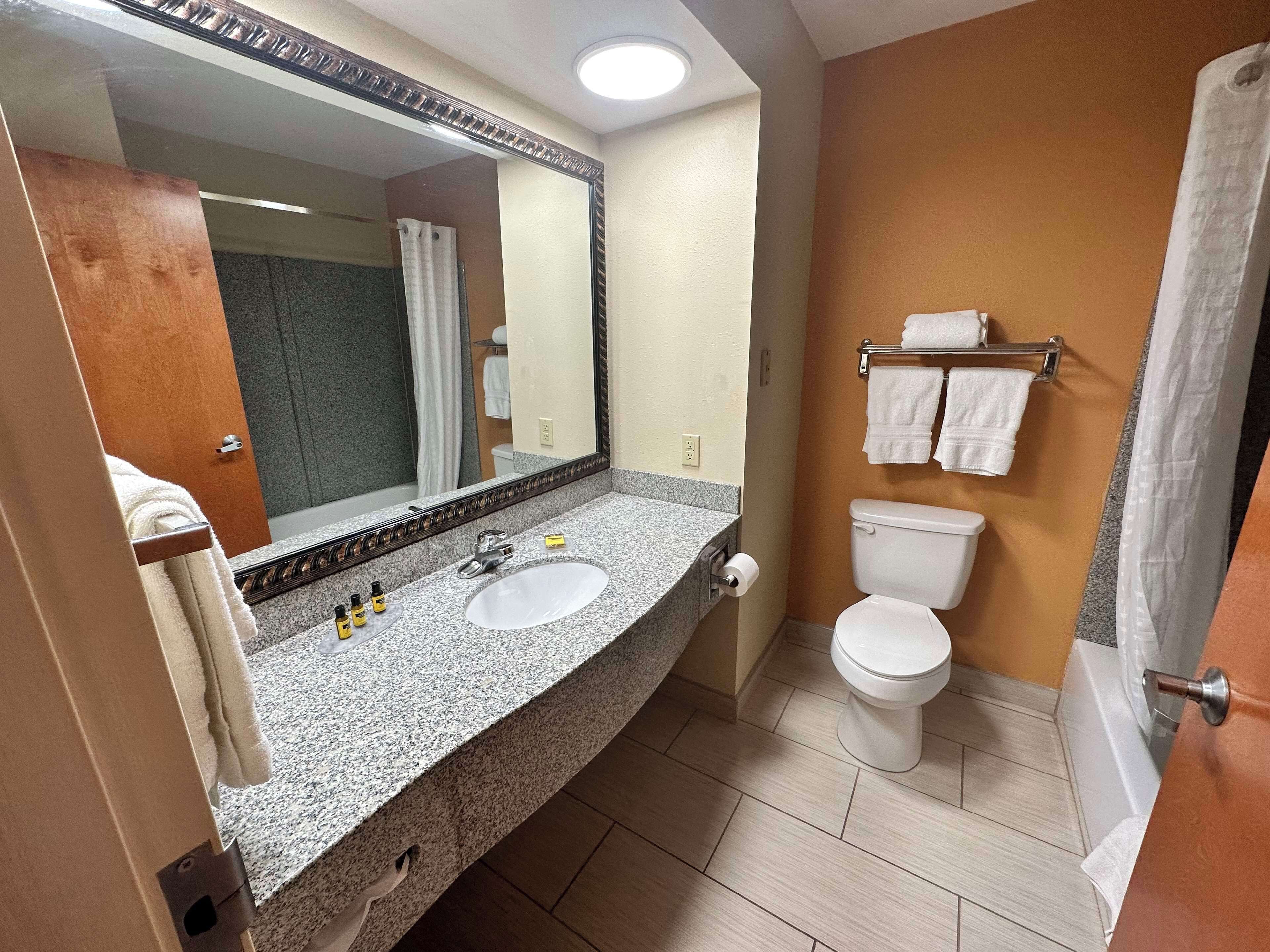 Un baño con lavamanos de granito, un espejo, inodoro y cortina de ducha.