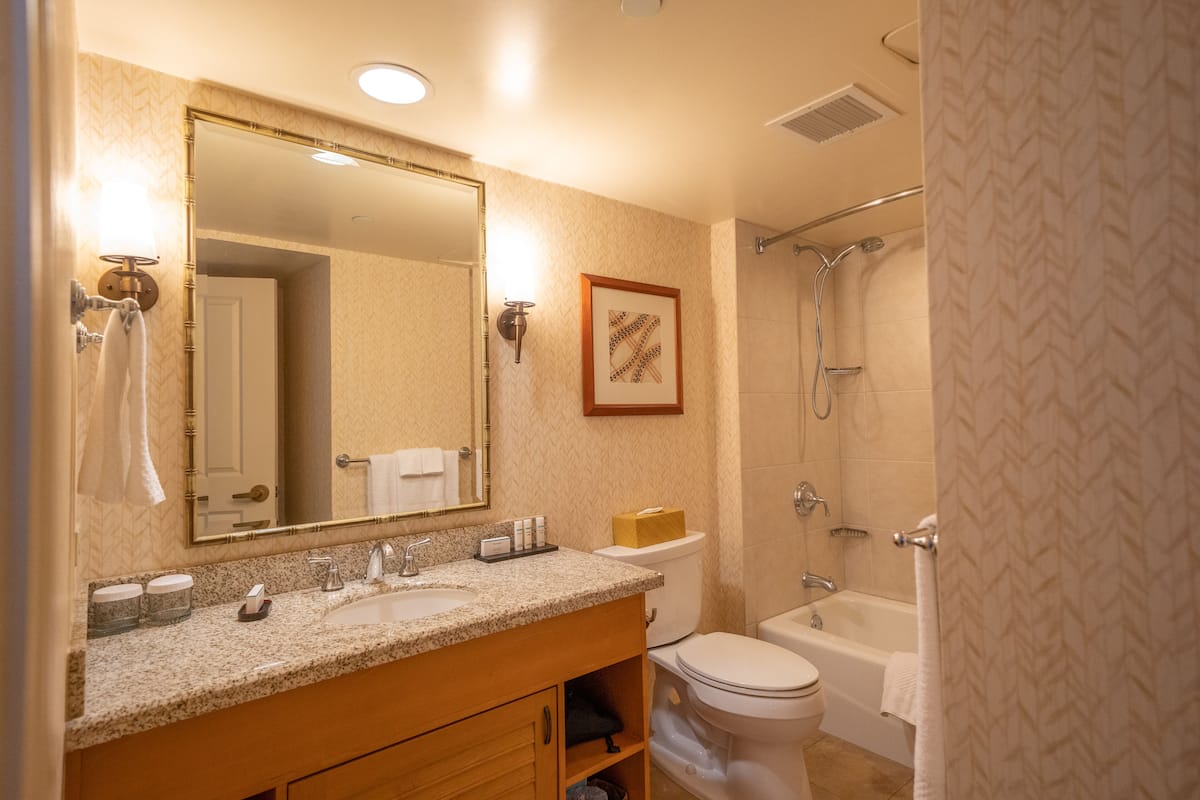 combined shower/bathtub, free toiletries, hair dryer, towels