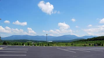 Free self parking
