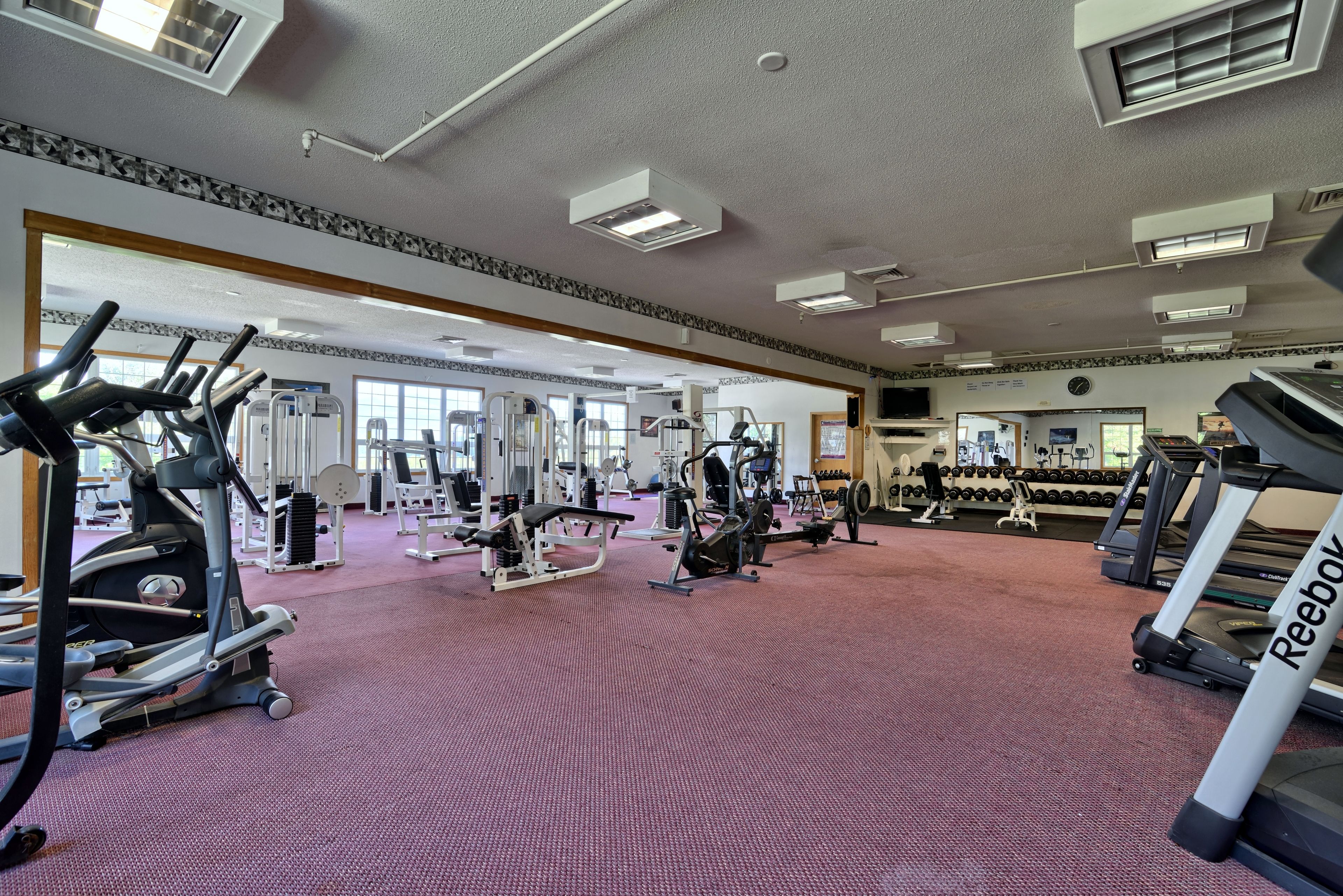 A gym with treadmills, weight machines, and free weights.