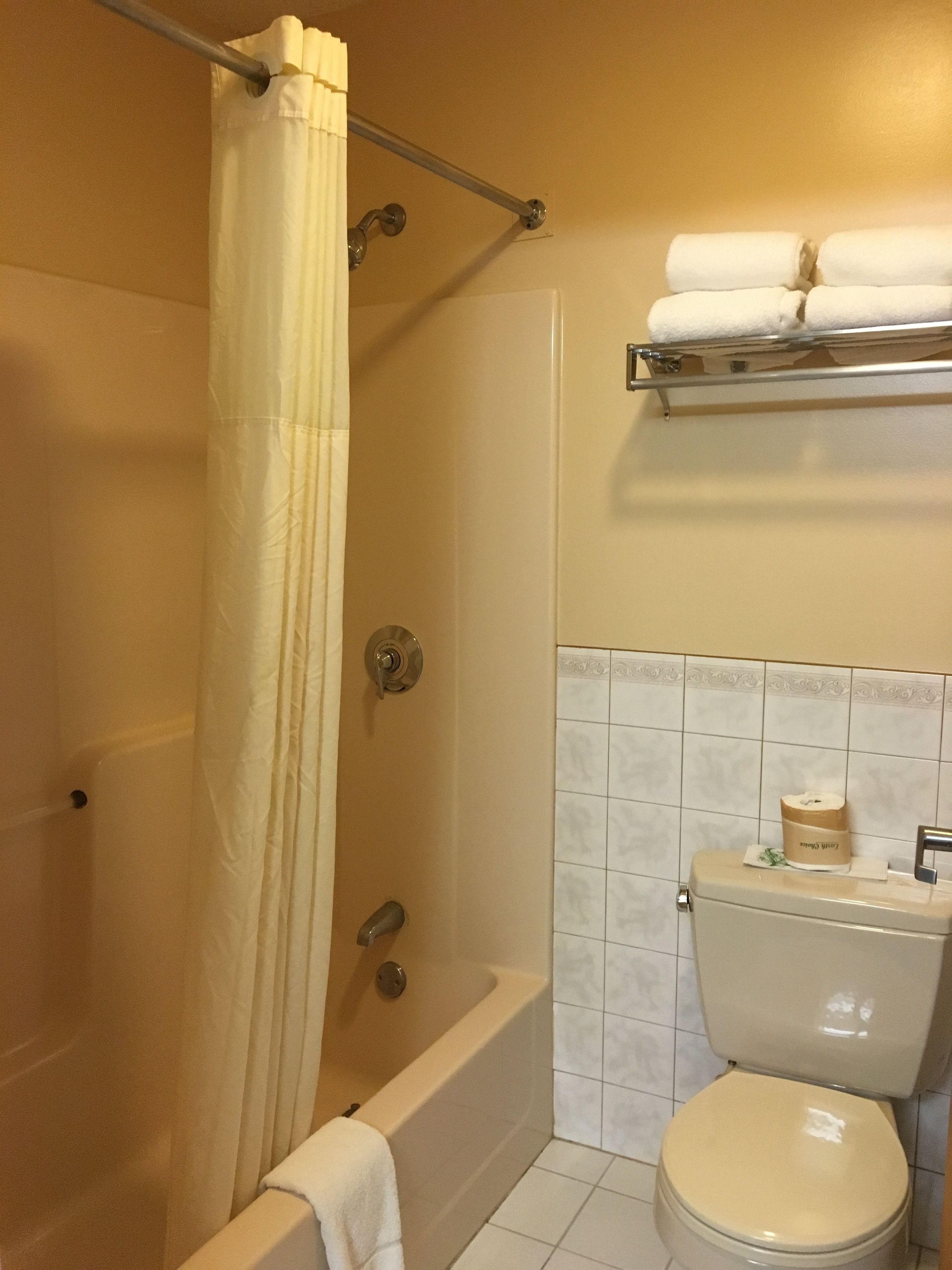 A bathroom with a bathtub, toilet, and shower curtain.