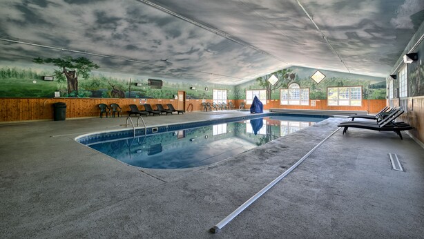 Una piscina interior con un mural de un bosque en las paredes, sillas de descanso y un techo transparente.