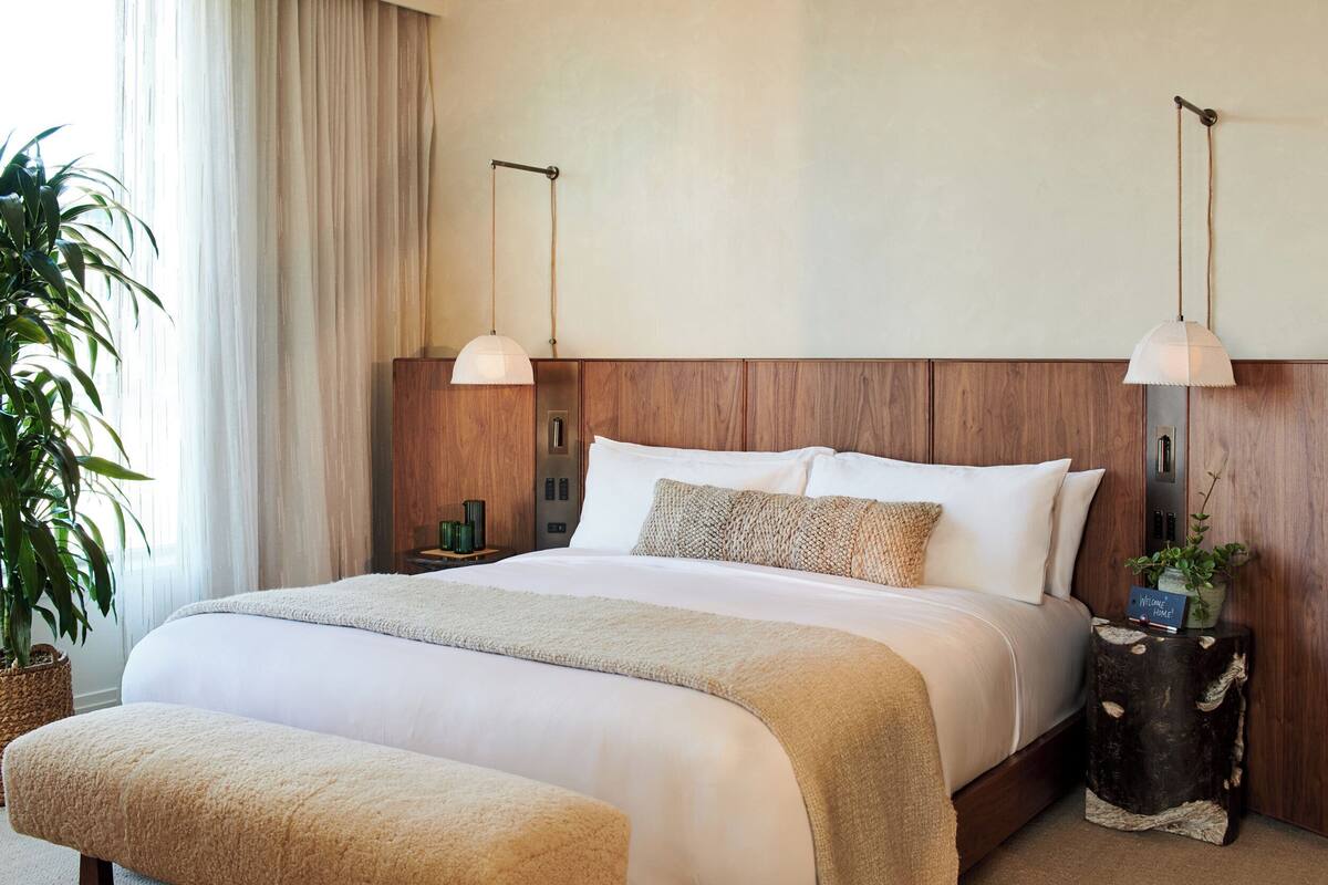 A neatly made bed with a wooden headboard, a bedside table with a lamp, and a potted plant.