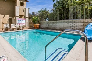Outdoor pool, sun loungers