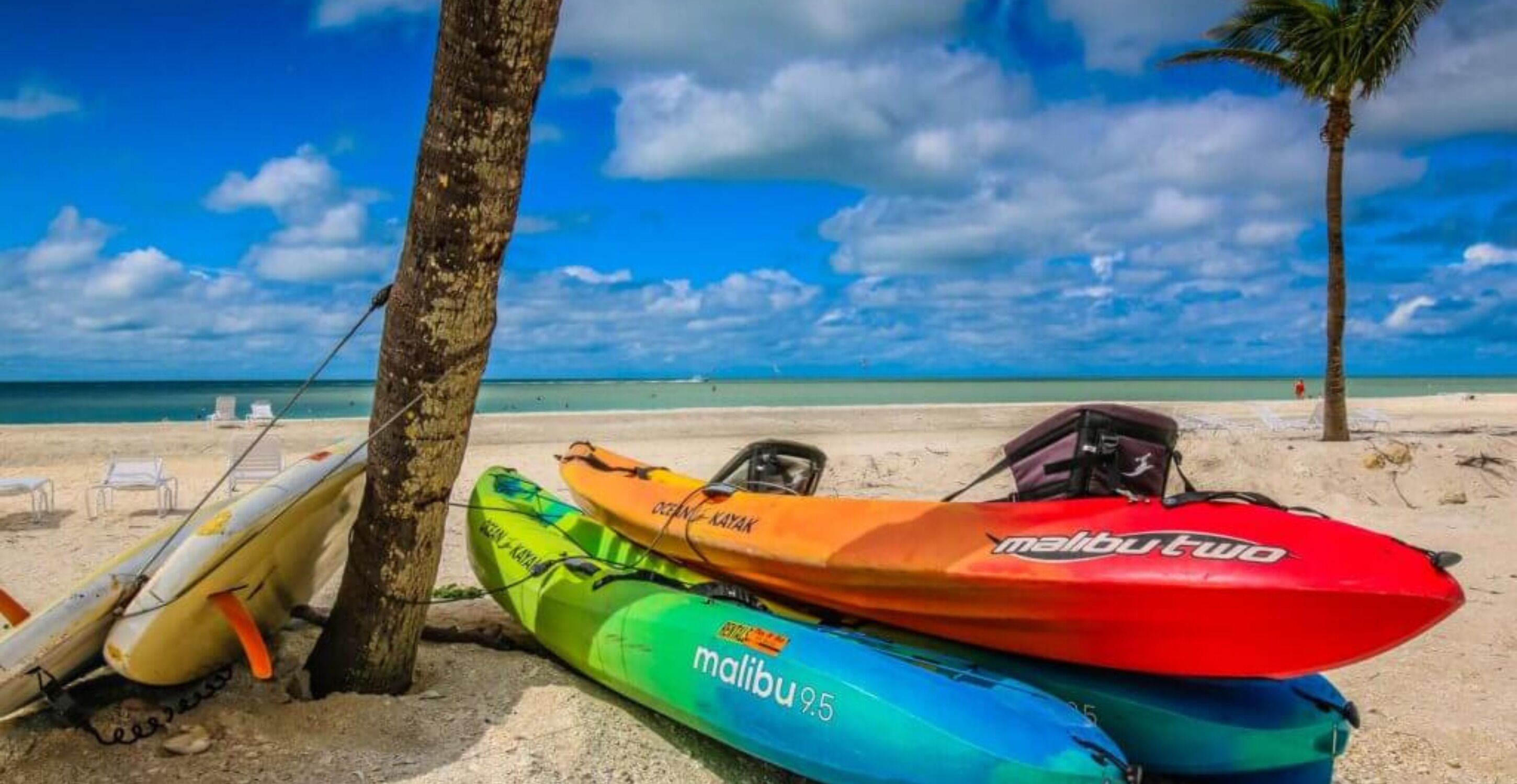 Tres kayaks y una tabla de surf apoyados en un árbol en la playa.