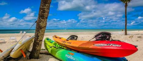 Trois kayaks et une planche de surf sont appuyés contre un arbre sur une plage.