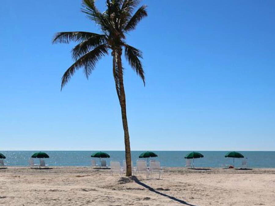Luksussuite, sjøutsikt | Utsikt mot strand/hav