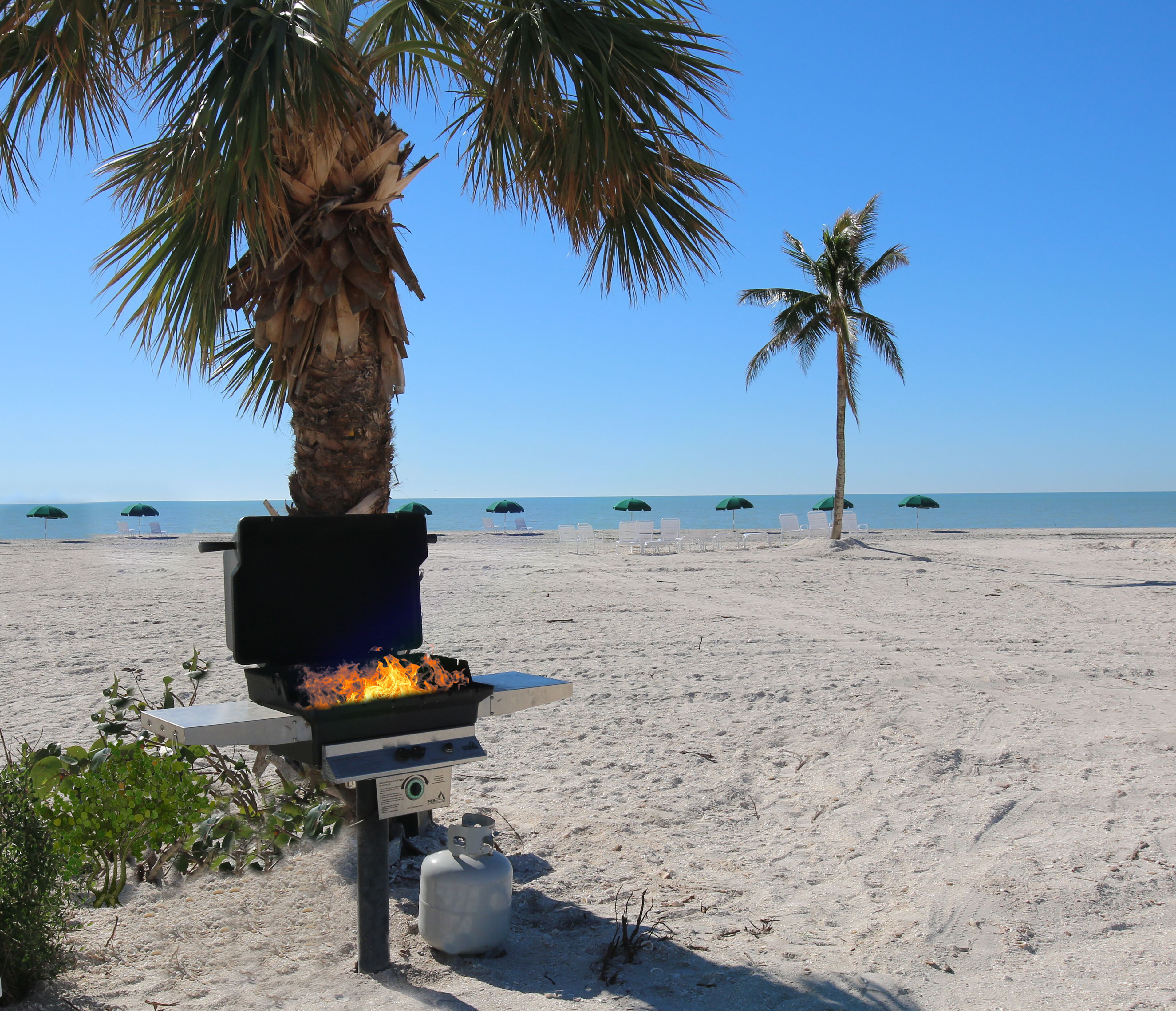 Een strand met een barbecue, palmbomen en strandstoelen onder parasols.