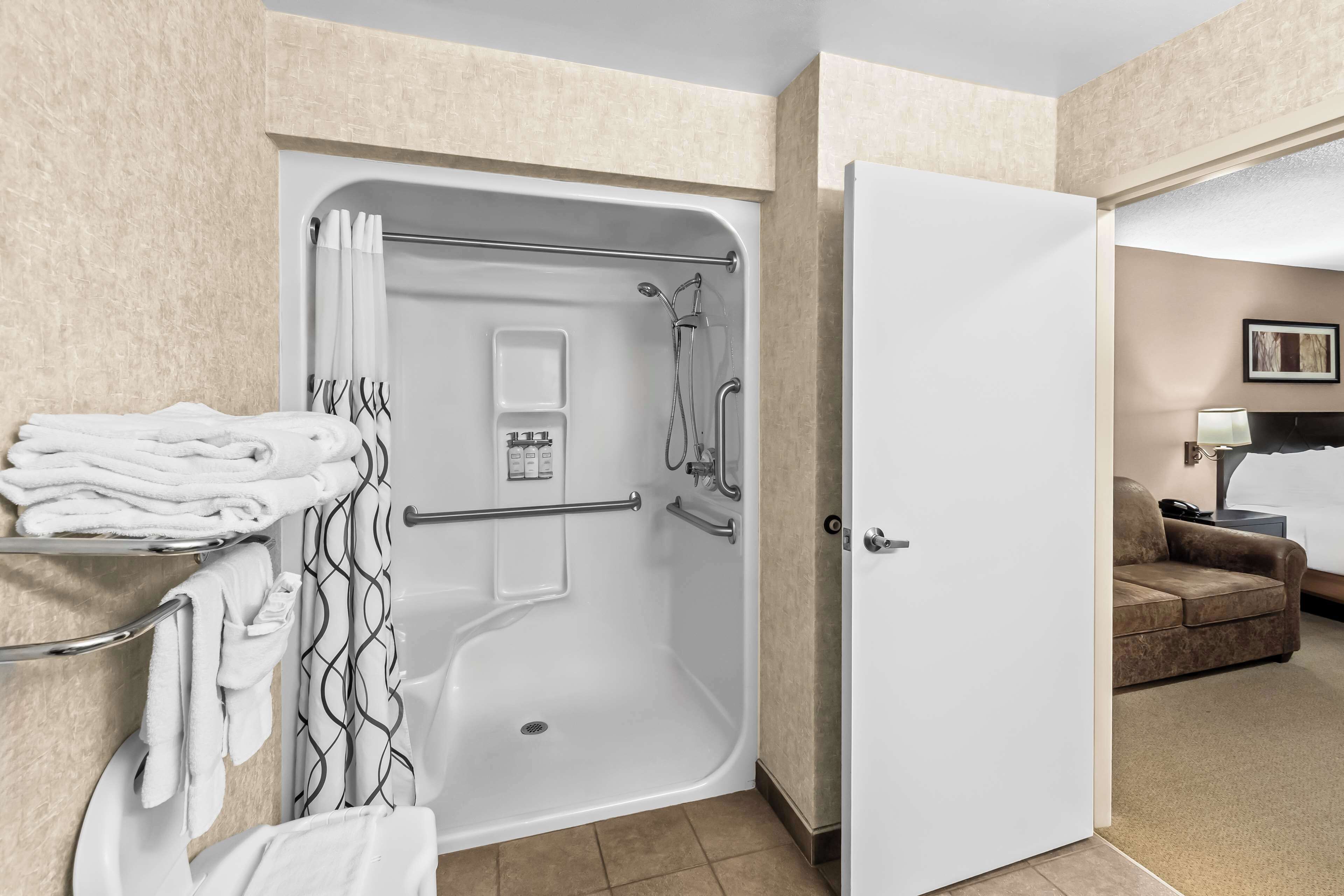 standard room, 1 queen bed, accessible, refrigerator & microwave (walk-in shower;with sofabed) | bathroom | combined shower/bathtub, designer toiletries, hair dryer, towels