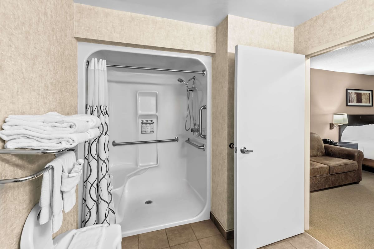 standard room, 1 queen bed, accessible, refrigerator & microwave (walk-in shower;with sofabed) | bathroom | combined shower/bathtub, designer toiletries, hair dryer, towels