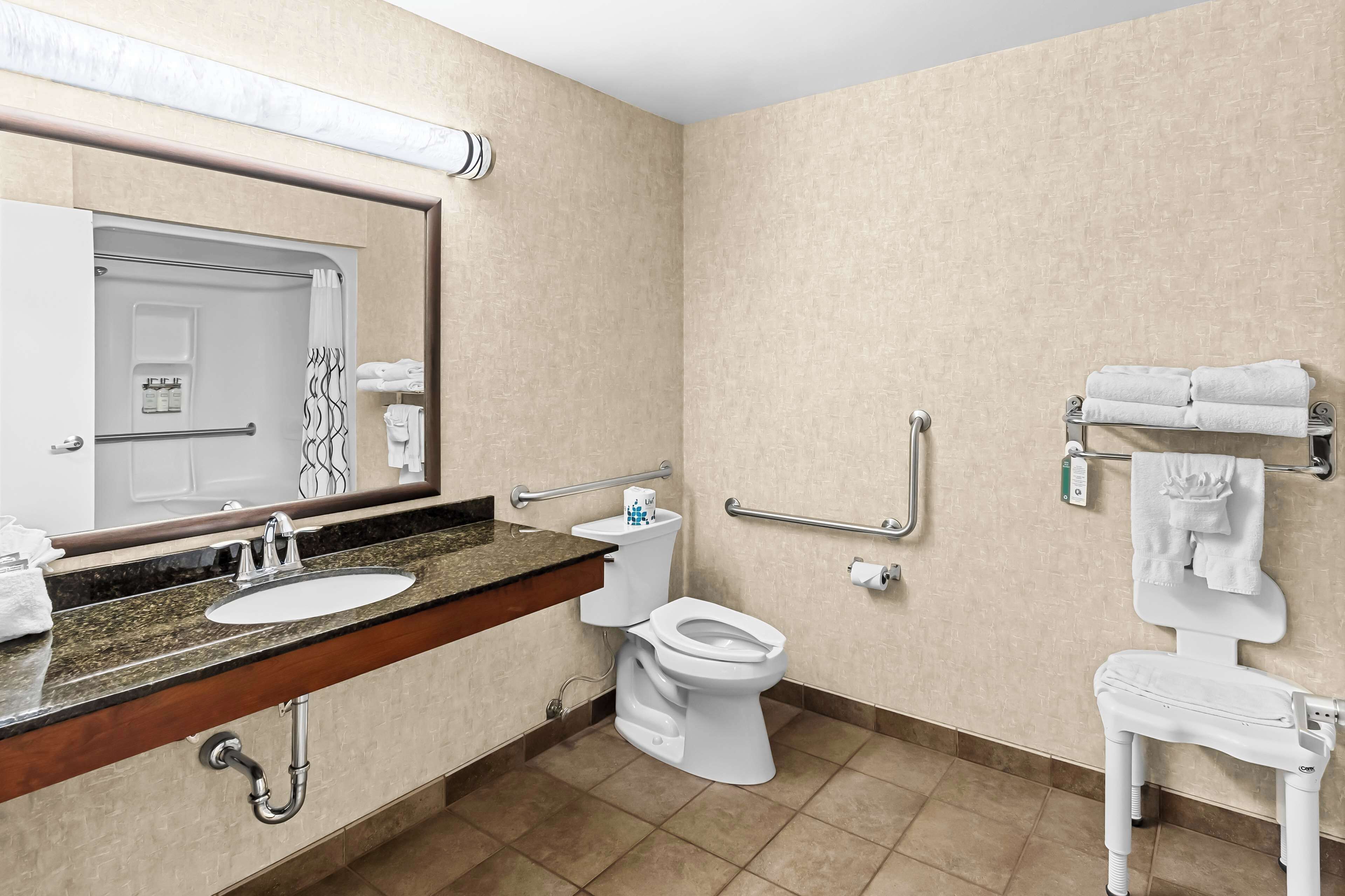 standard room, 1 queen bed, accessible, refrigerator & microwave (walk-in shower;with sofabed) | premium bedding, pillow-top beds, in-room safe, desk