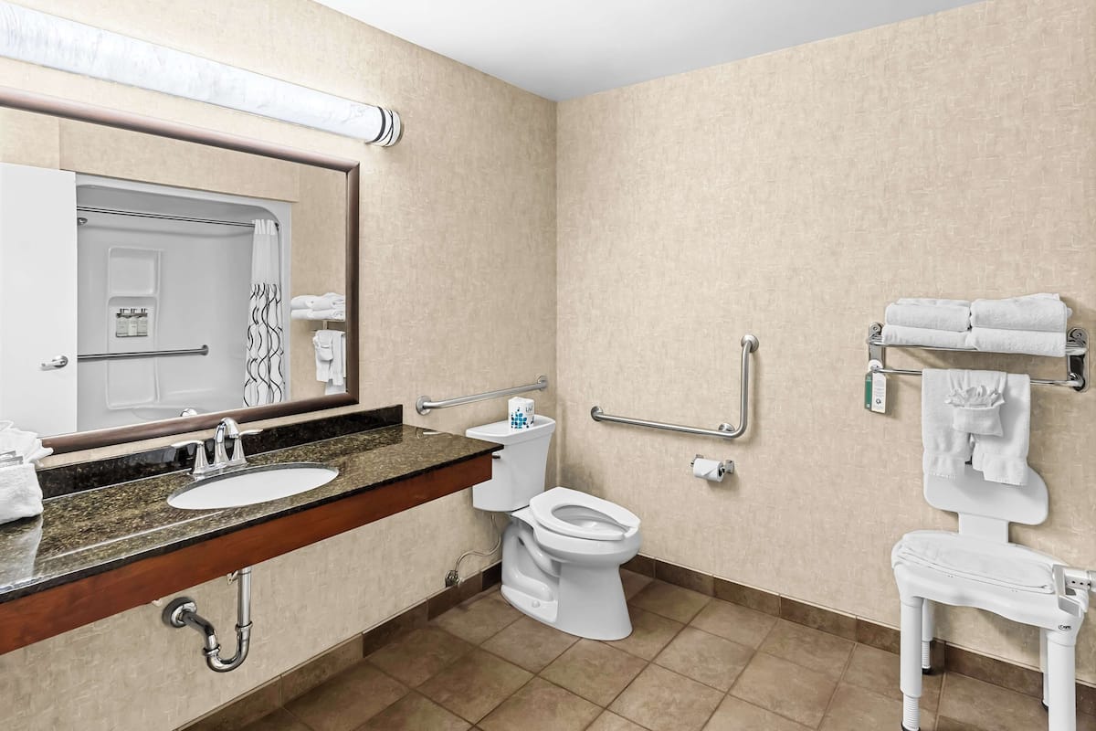 standard room, 1 queen bed, accessible, refrigerator & microwave (walk-in shower;with sofabed) | premium bedding, pillow-top beds, in-room safe, desk