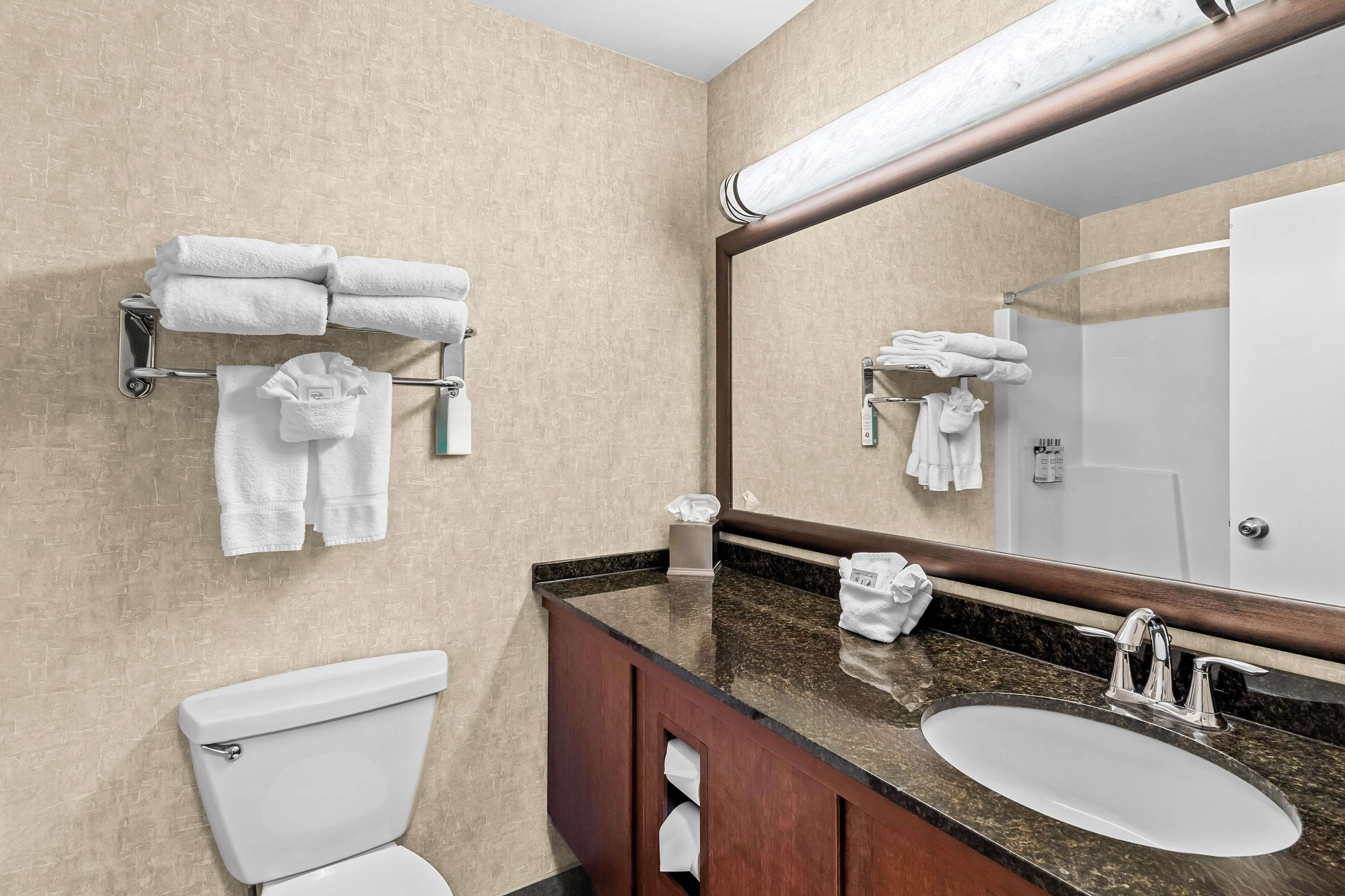 combined shower/bathtub, designer toiletries, hair dryer, towels