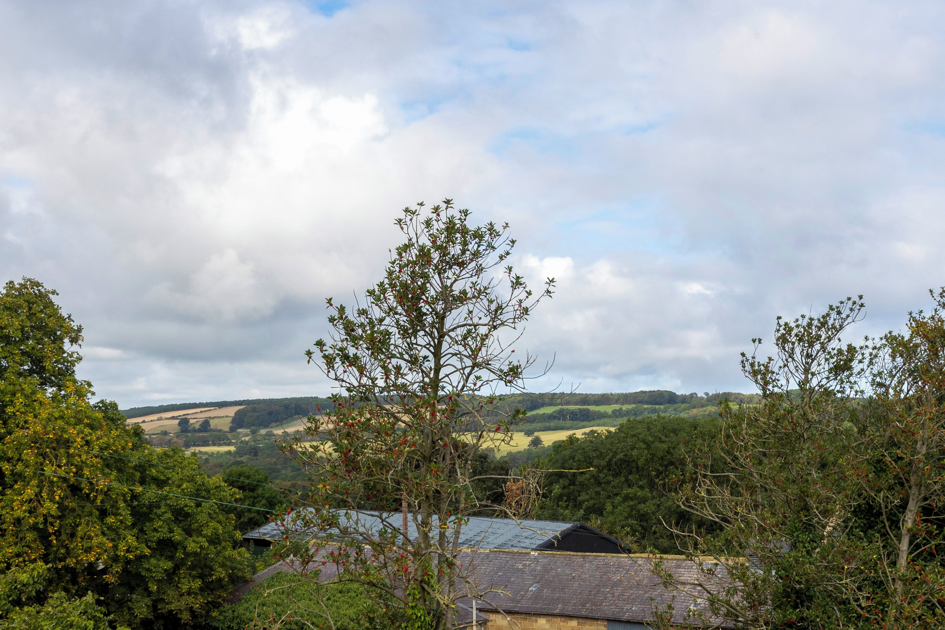 A rural landscape with a house and surrounding greenery.