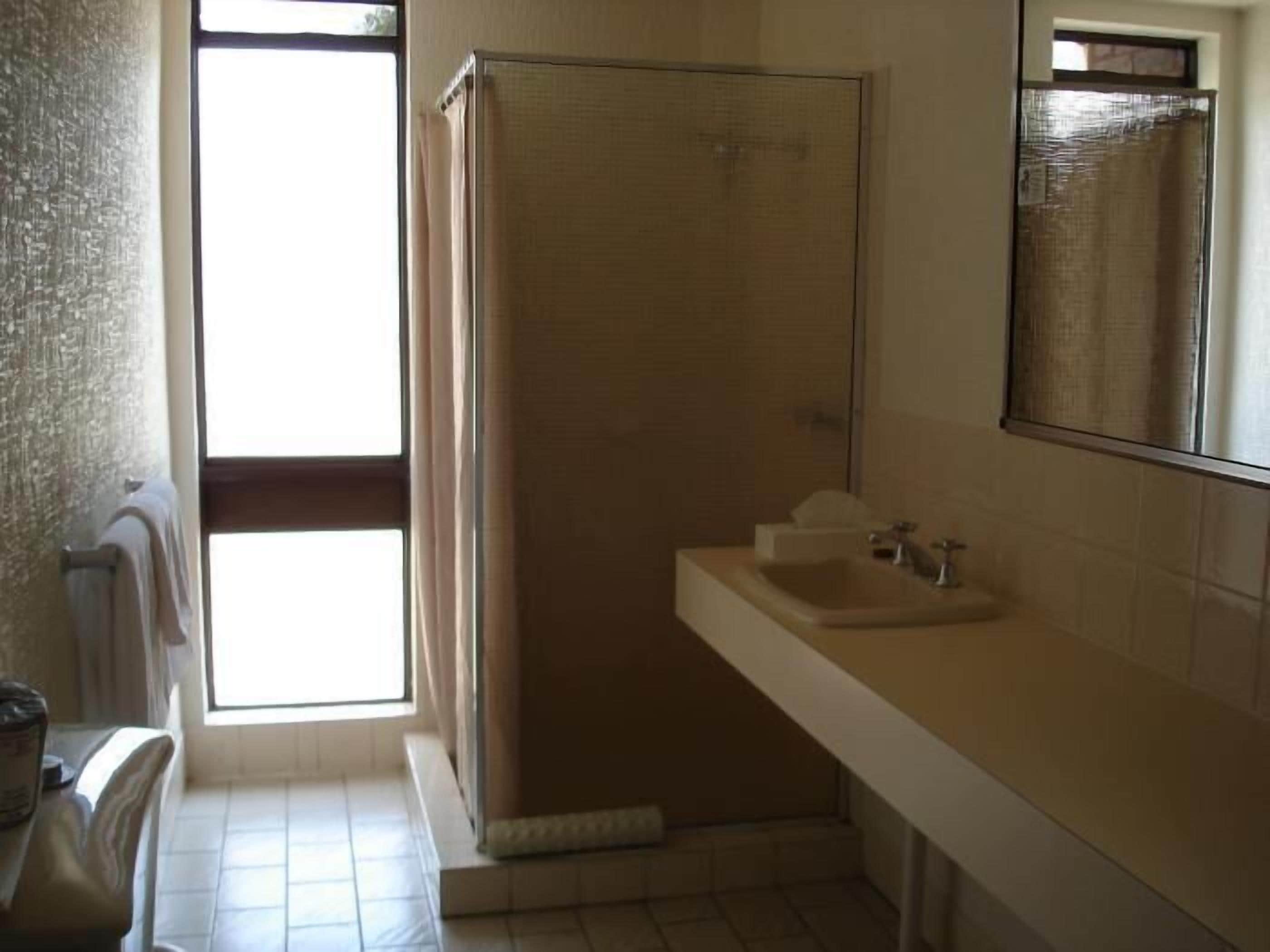 A bathroom with a shower, a sink, and a mirror.