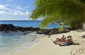 A beach with a palm tree, rocky shoreline, and clear blue water. - Hilton Seychelles Northolme Resort & Spa (Mahé Island)