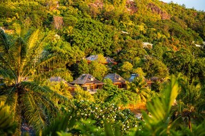 Un complexe hôtelier tropical doté de plusieurs villas, entourées d’une végétation luxuriante et de palmiers.