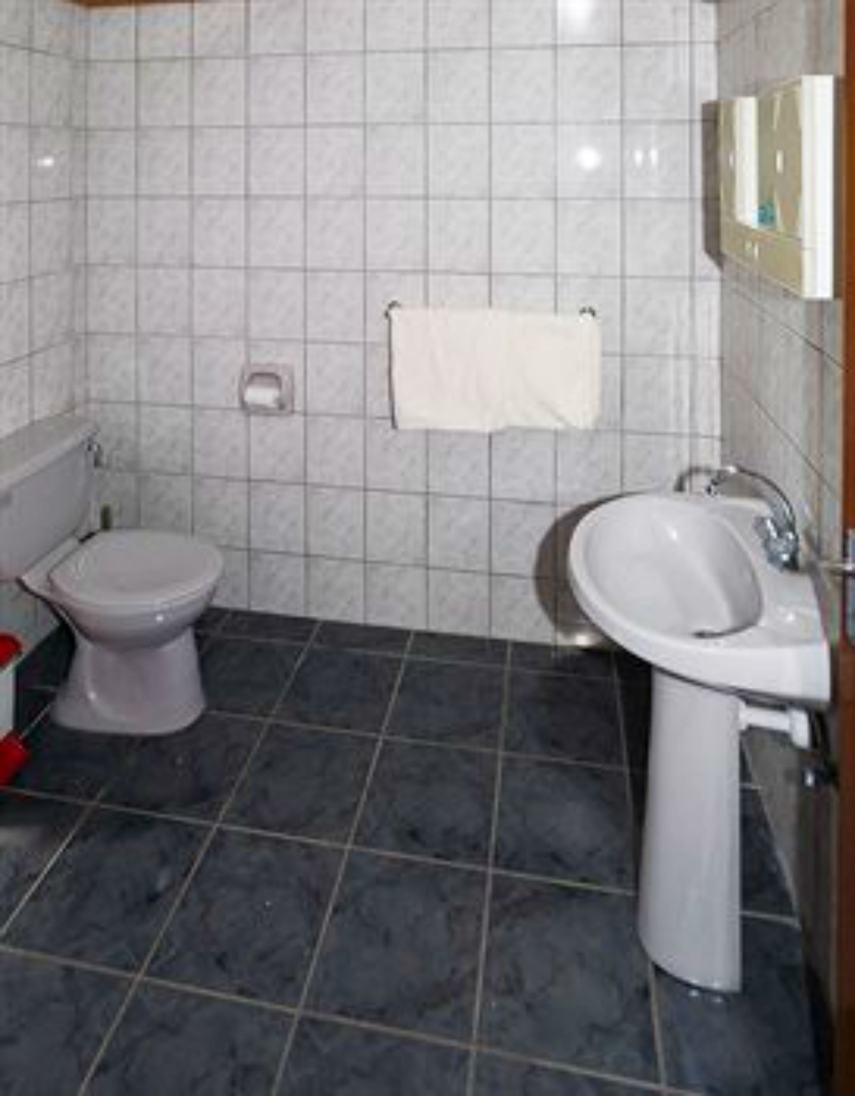 Een badkamer met toilet, hygiëneschuimer en wastafel.