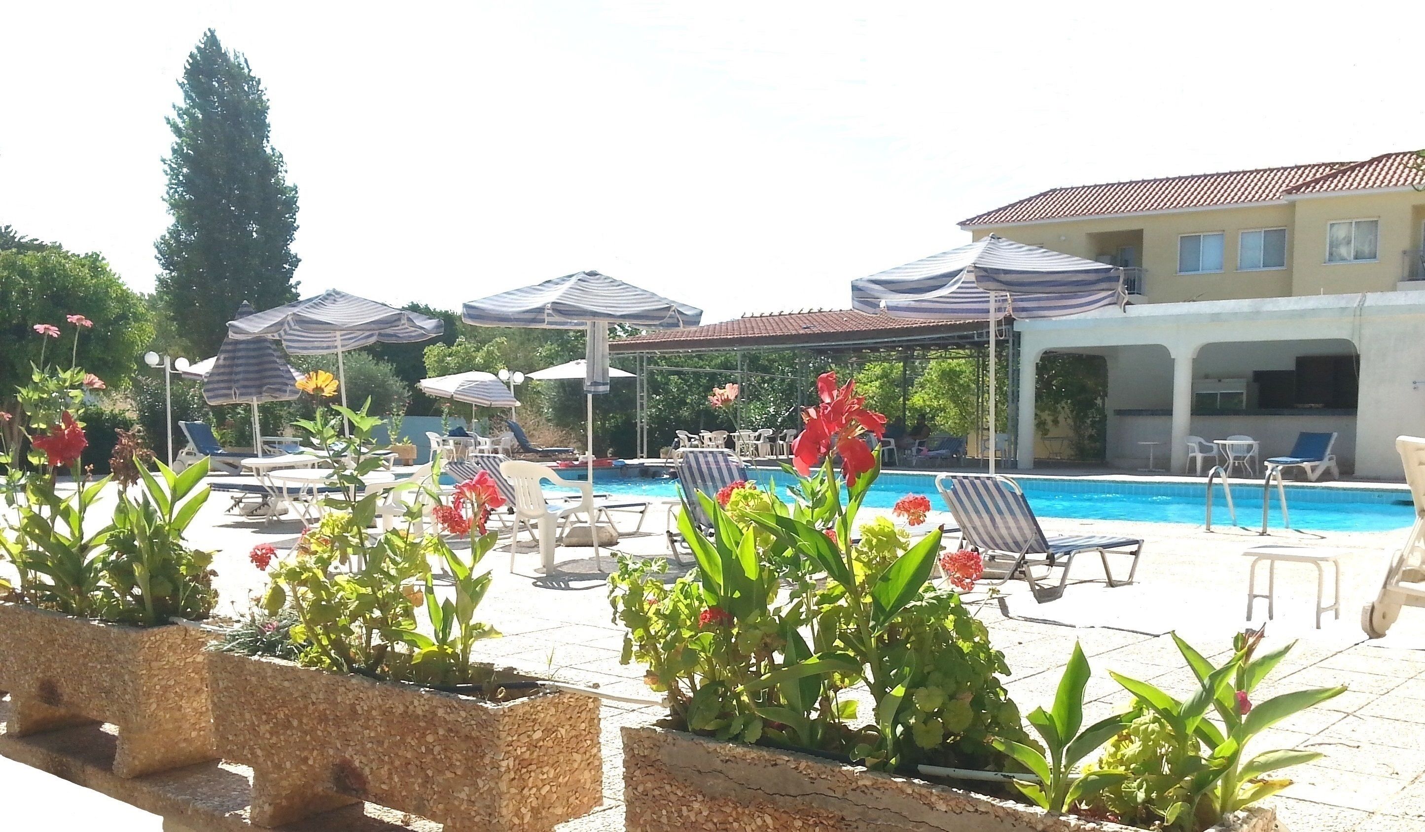 Zona de piscina con sillas de descanso y sombrillas, rodeada de plantas en macetas.