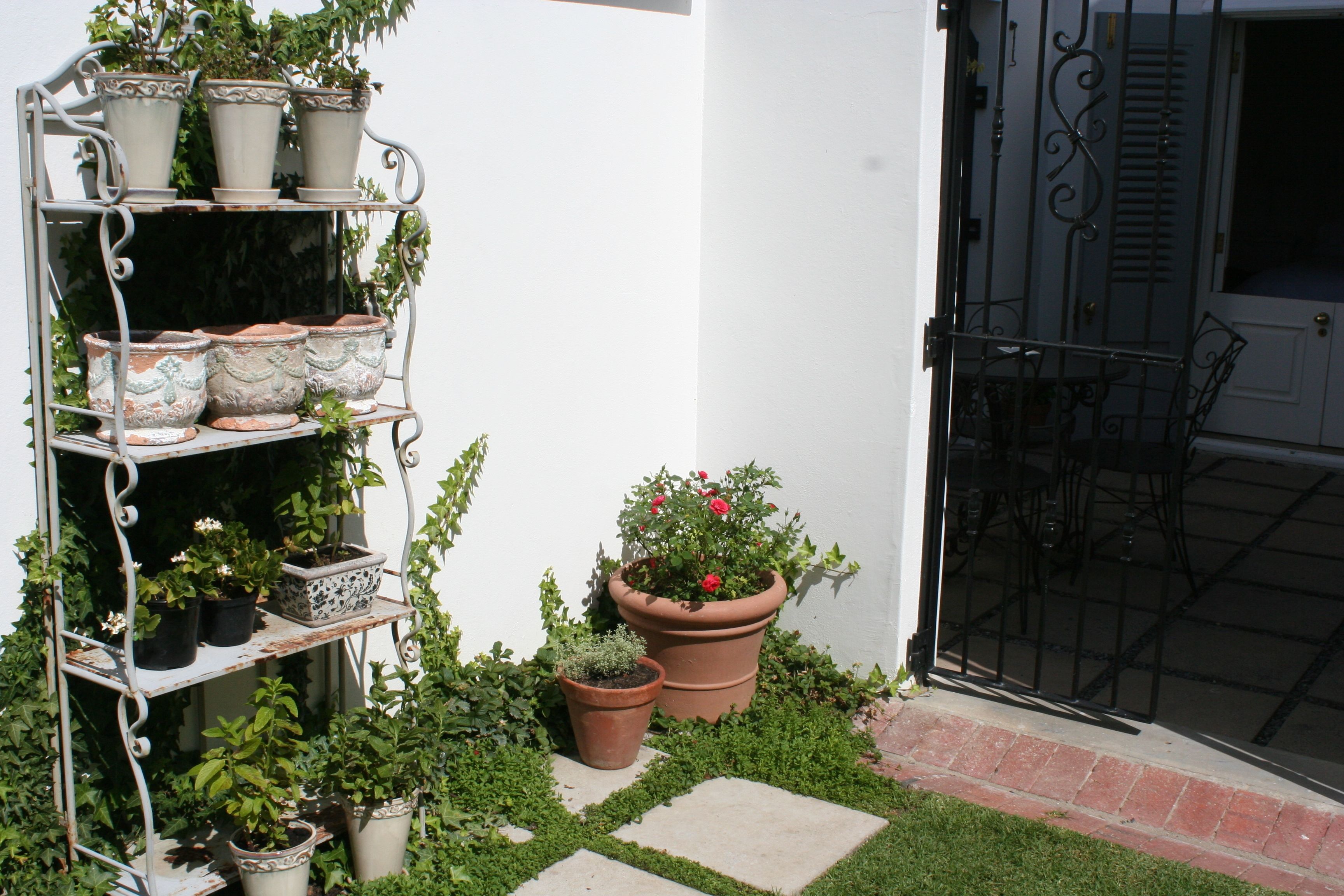 A white wall with a metal plant stand holding various potted plants.