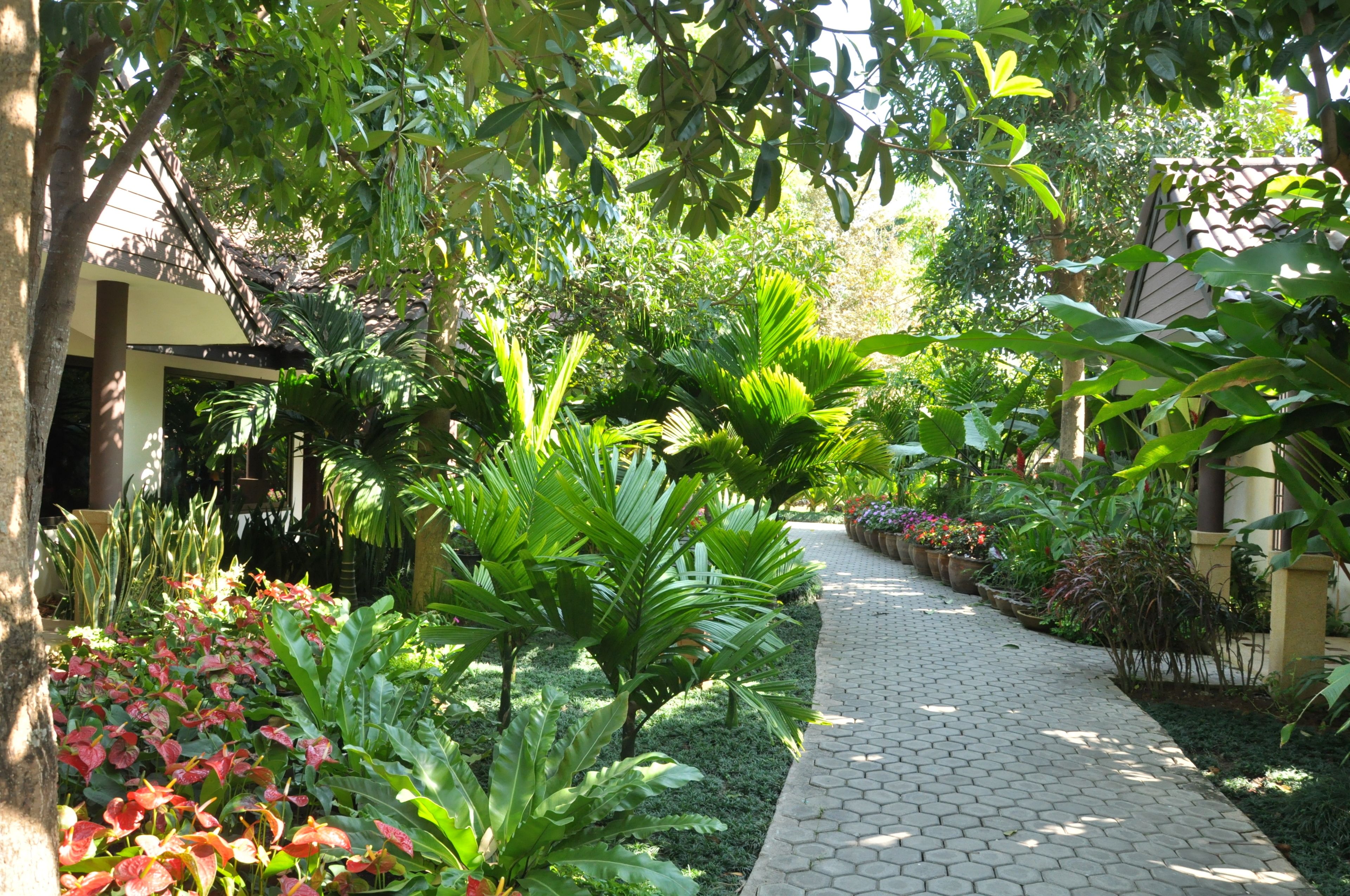 ガーデン ビュー