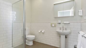 A modern bathroom with a glass shower enclosure, a toilet, a sink, and a mirror.