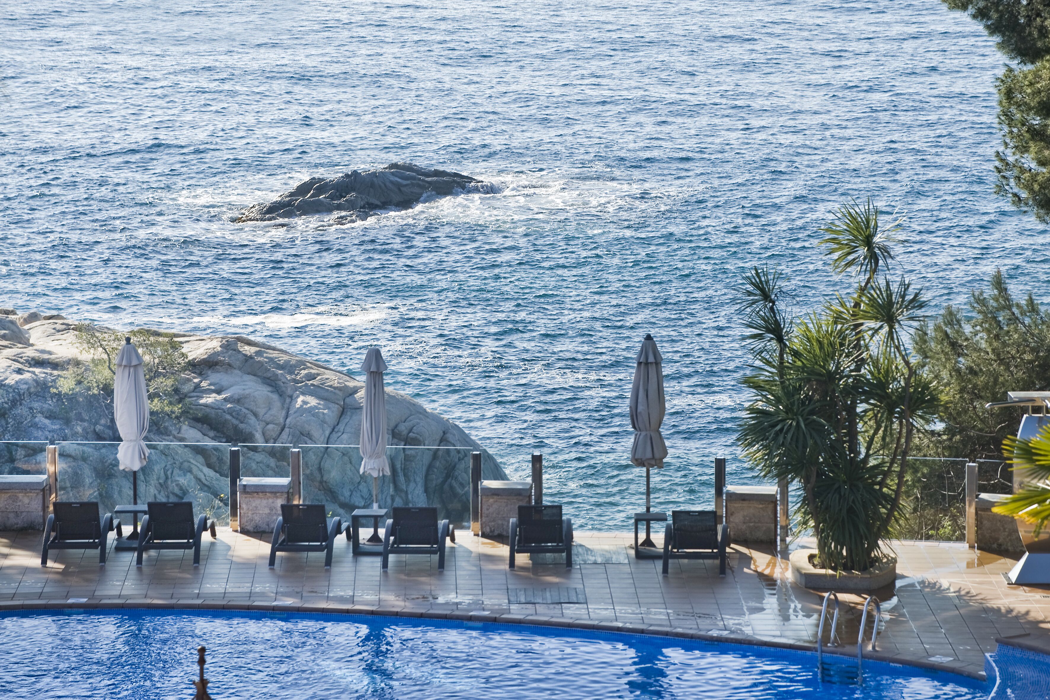Un área junto a la piscina con sillones de descanso y sombrillas, con vistas a un cuerpo de agua donde se divisa una ballena a lo lejos.
